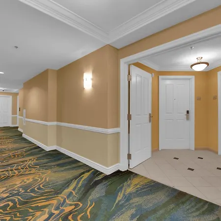 Aurora Haven Mgm-2